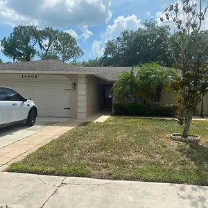Cheerful 3 Bed House In A Cul- De-sac! Tampa